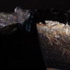 Mark Benne Black & Iridescent transparant 1
