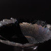 Mark Benne Black & Iridescent transparant